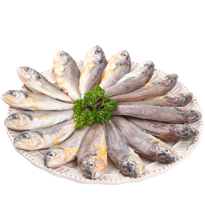 ���ڲ�����������ɽҰ��С���� ������ʻ��䶳 ���ʻ����տ�ҹ��ʳ�ĺ��� ����2��17-19��/��