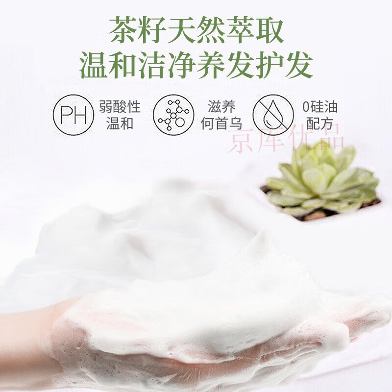 茶麸洗发水山茶籽控油去屑止痒防掉发断发蓬松柔顺儿童宝妈适用 1瓶 400ml/瓶