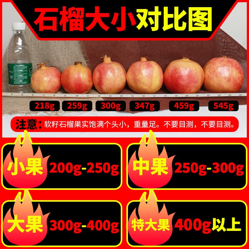 生活＆好管家四川突尼斯软籽石榴新鲜水果红番石榴甜石榴应季水果 软籽石榴中果净重4.5斤[单果250g+]