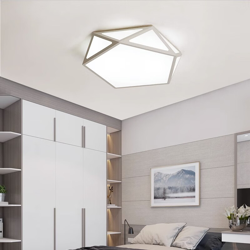 灯诺堡主卧室灯led吸顶灯大气客厅灯创意餐厅灯房间儿童灯灯具简约现代 黑色-60cm-白光