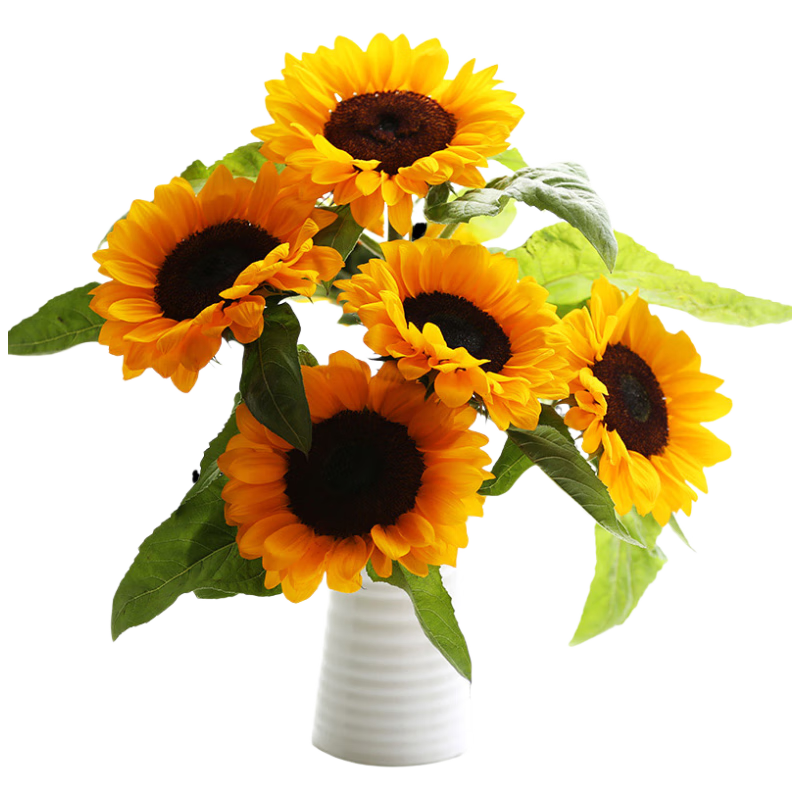 ���ڲ����������ʻ����տ���ɭ��5֧ɽ���������ڼ�ͥƿ�����ʲ�ժԴͷֱ��