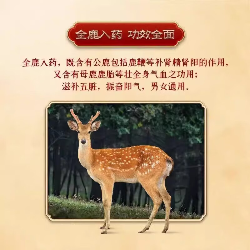 全鹿丸正品大补丸补肾填精老年肾虚补壮肾阳健脾益气固精强肾遗精早泄性欲减退失眠乏力32味大补中药 5盒 【脾肾两亏老年乏力】