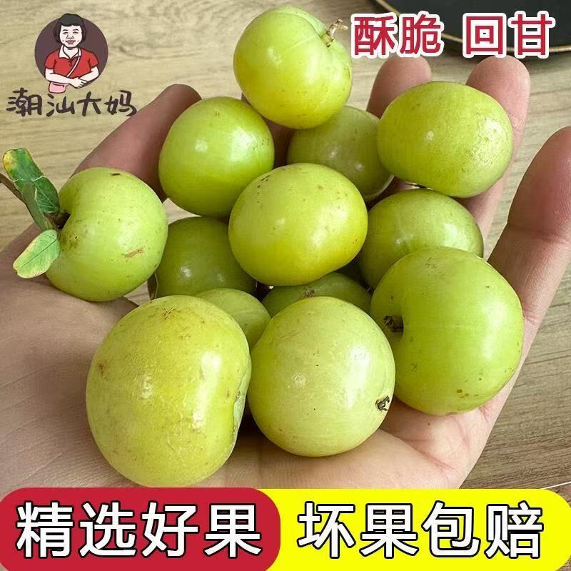 【潮汕大妈】正宗潮汕油甘新鲜油柑果余甘牛甘果孕妇水果橄榄柿饼 1斤【生吃回甘】不泡药水