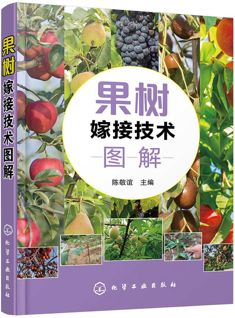 果树嫁接技术图解（双色印刷、图片丰富、实用）