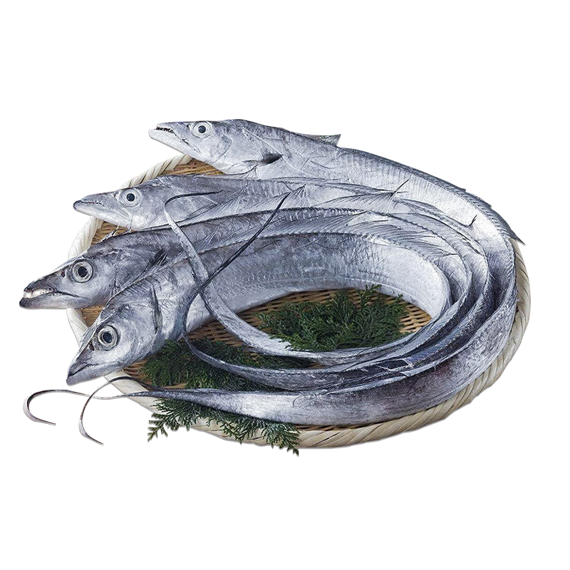 鲜京采 舟山海捕带鱼净重3斤7-8条 150-200g/条 生鲜鱼类 源头直发