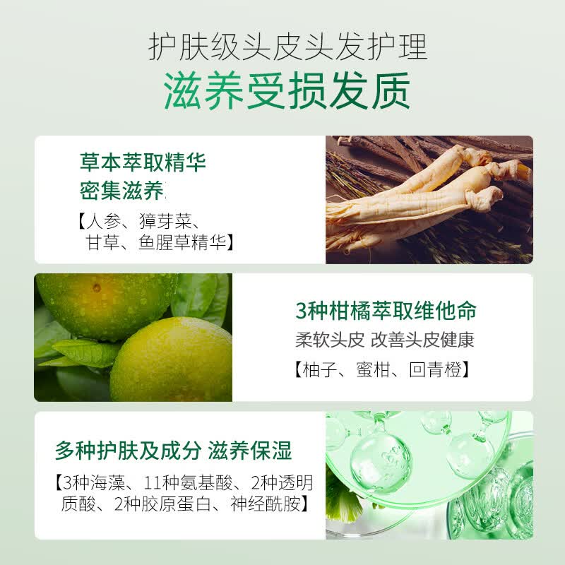 柑气楼精油滋养洗发水滋润护发洗头膏烫染干枯毛躁头发修护防断发洗发露 精油滋养洗发水瓶装500g*2【囤货组合】