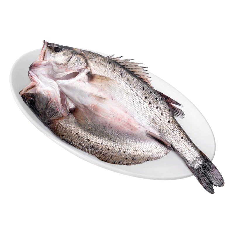 黄小渔三去海鲈鱼 4斤/3-4条 冷冻开背鲈鱼 去鳞去鳃去内脏鱼类源头直发