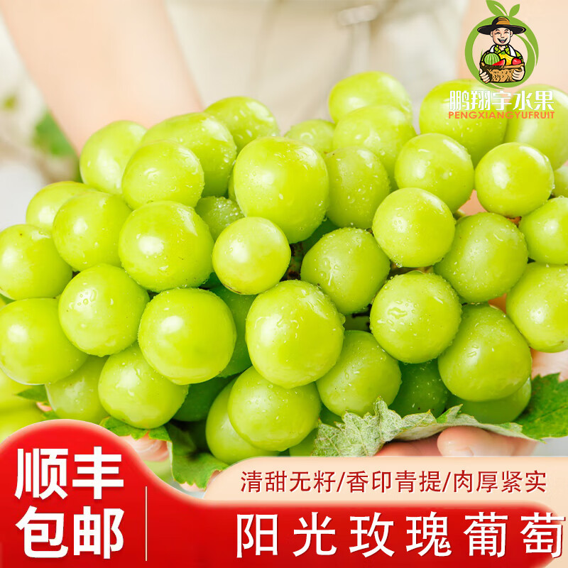 鹏翔宇【顺丰包邮】正宗阳光玫瑰葡萄薄皮香印脆甜无籽青提应季生鲜水果 净重3斤【8-10克】精选中果