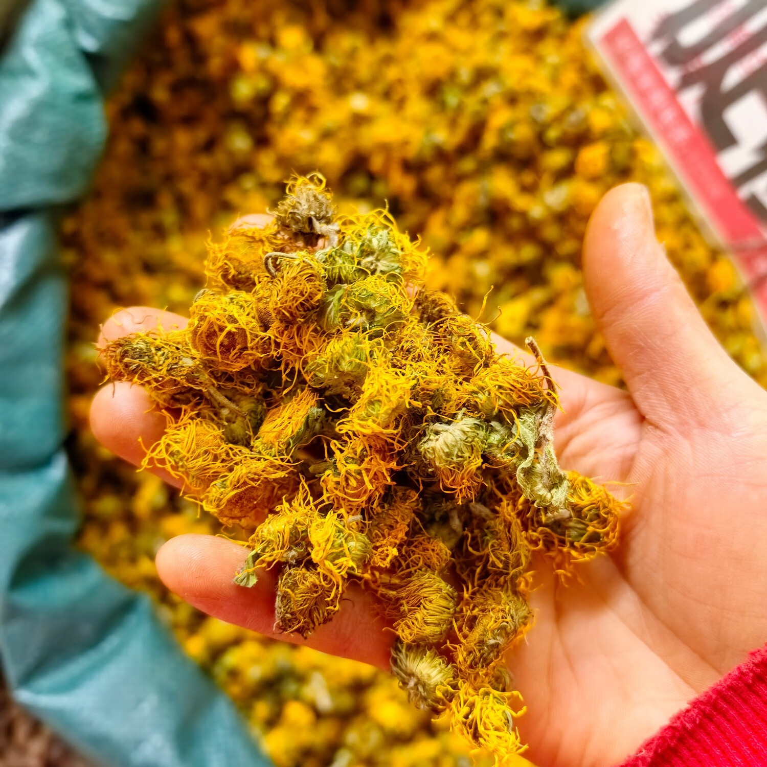 旋覆花中药材野生旋覆花新货干花金钱花野油花金沸花 250克