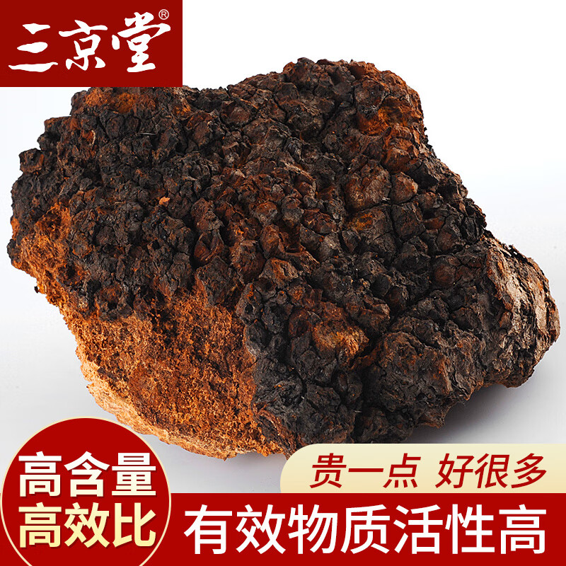 三京堂白桦茸500g桦树茸长白山野生桦褐孔菌茶黑金颗粒可搭桑黄灵芝送礼