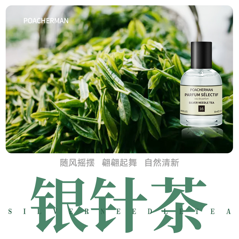 柏世曼(poacherman)银针茶香水天然清茶香氛silver needle tea白毫
