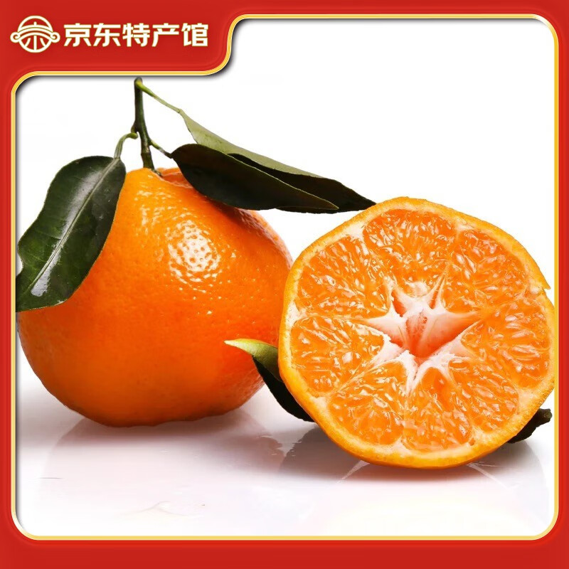 广供天下 四川蒲江耙耙柑春见柑橘当季新鲜水果现摘整箱柑橘 4.5斤70-75mm