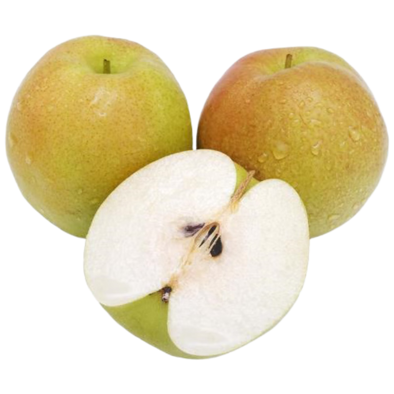 Ȥ ɽ¶ 7 300g+ ˮ 1ŵ Դͷֱ