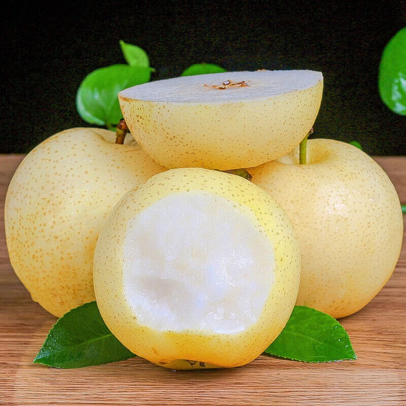 果迎鲜皇冠梨 河北皇冠梨 梨子 脆梨酥梨 新鲜水果 生鲜 4.5斤装
