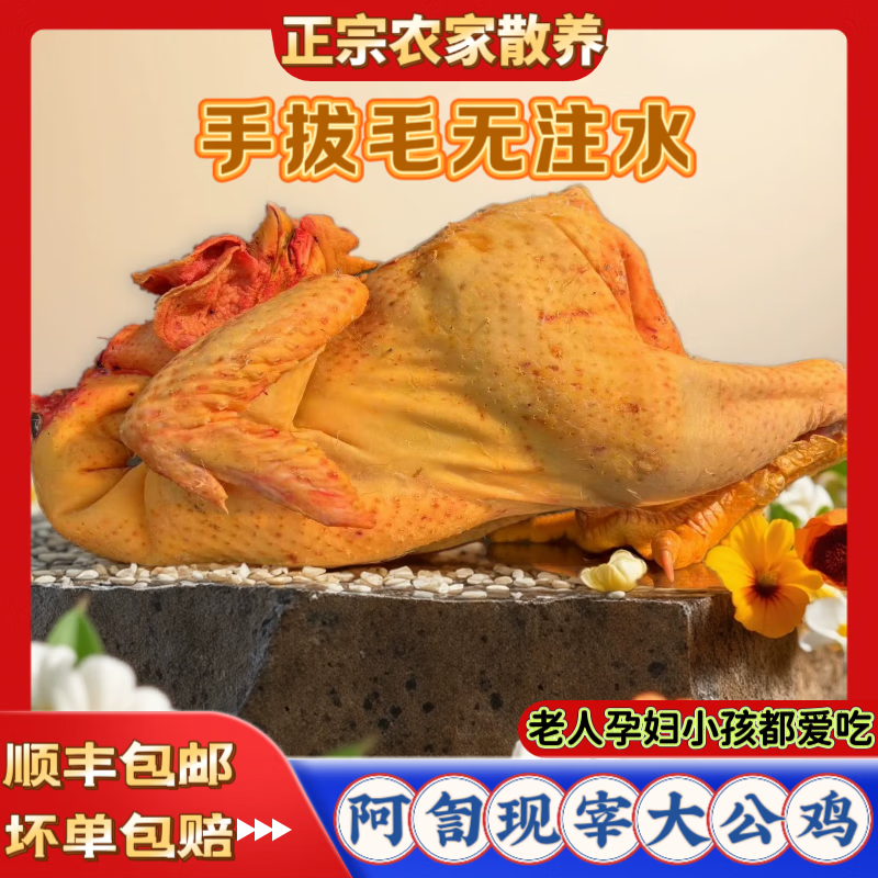 阿訇现宰手拔毛果园大公鸡正宗散养笨公鸡新鲜鸡肉农家散养土鸡 4.
