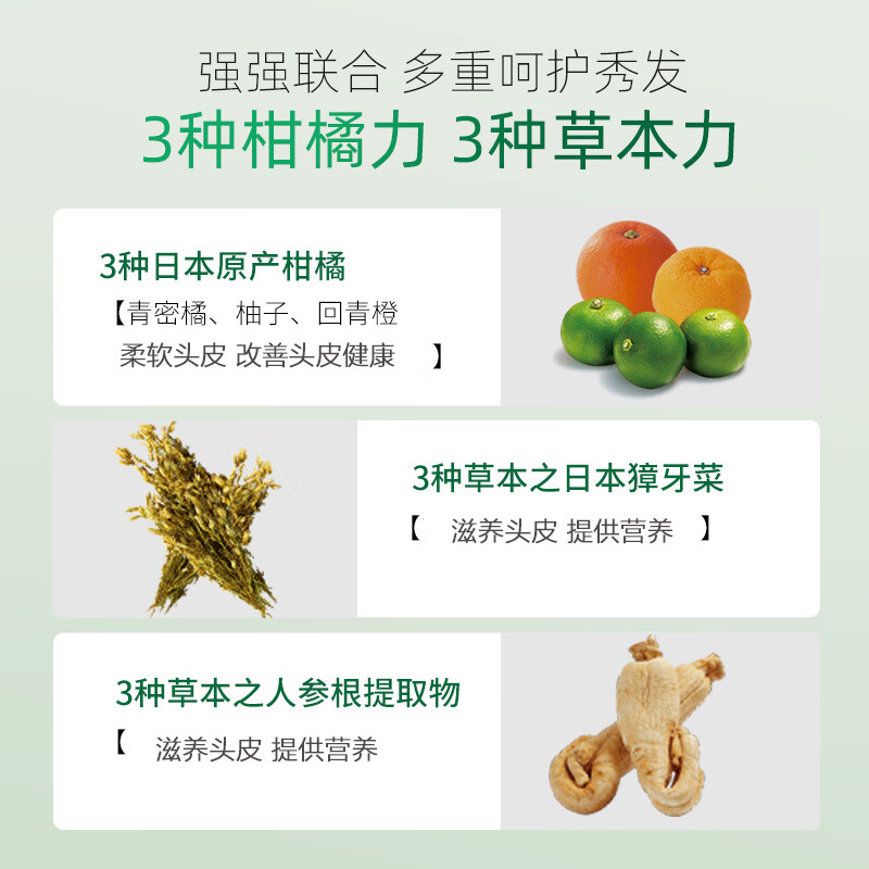 柑气楼精油滋养洗发水滋润护发洗头膏烫染干枯毛躁头发修护防断发洗发露 精油滋养洗发水瓶装500g*2【囤货组合】
