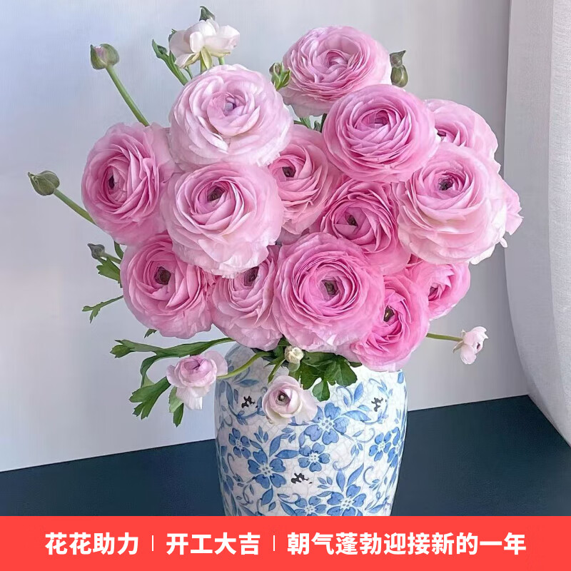 �����ʻ���ĵ��20֦�ʻ����������������л��ʻ������������ɫԴͷֱ��