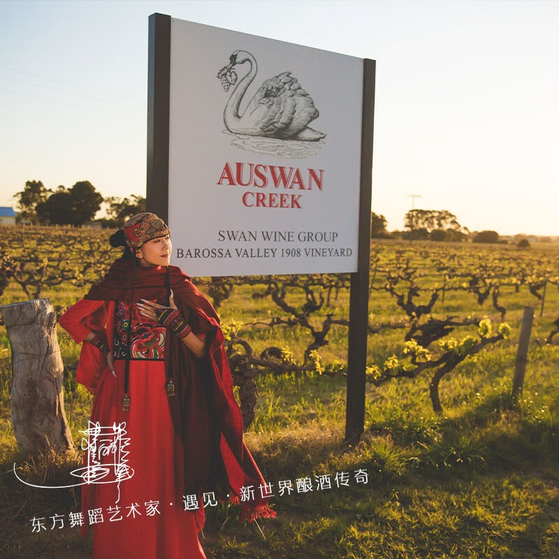 天鹅庄【杨丽萍孔雀联名】智利原瓶进口红酒干红葡萄酒果酒礼盒送礼礼物 孔雀绽放40佳美娜 750ML2支礼盒