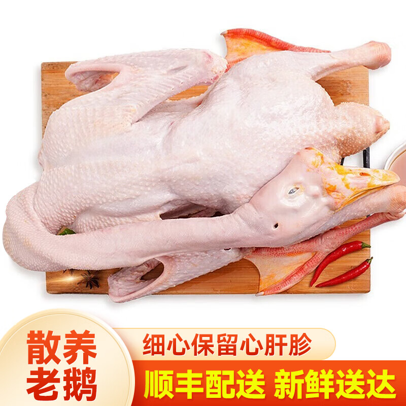 唛兜园苏北农家散养带包老鹅大白鹅草鹅土鹅肉现杀新鲜笨老鹅铁锅炖大鹅 2年带包老鹅杀后5-6斤【带心肝胗