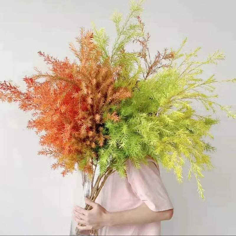 千层黄金香柳鲜切花云南基地鲜花直发室内水培办公室客厅插花干的 千层金三色混搭 现采-4-6枝40-60cm