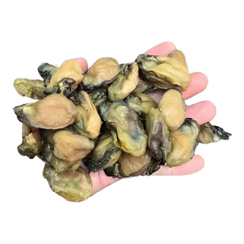 特大號蠔干廣東湛江金蠔不抽油牡蠣干型一整箱淡曬干蠔仔生曬蠔肉 大號蠔鼓約205頭(500克)