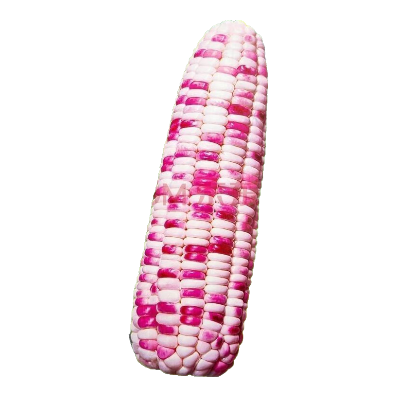 �����󡿳����Ŵ�������ӻ�Ŵ���������������Ŵ������ũ�Ҹ߲� �����Ŵ�������� 1��Լ50�� 3.41Ԫ