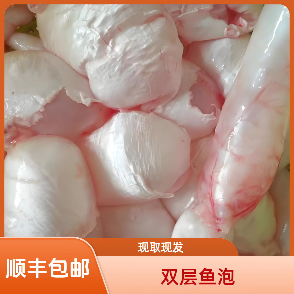 顺丰包邮双层鱼鳔鱼泡新鲜现取现发 500g极品鱼泡