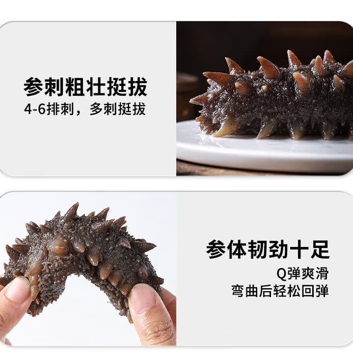 颐口福即食海参鲜食海参营养滋补海鲜特产海鲜礼盒特产高档海鲜礼盒送礼 大头即食海参2斤（12-14头/斤）