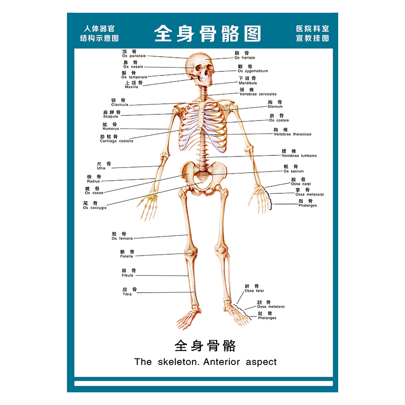 纸品印刷制品历史价格走势助手|纸品印刷制品价格比较