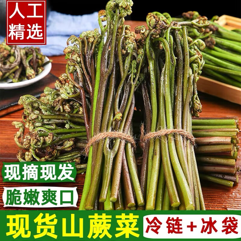 貴州野生蕨菜新鮮現(xiàn)摘龍爪菜鮮嫩甜蕨菜酒店食材 1斤