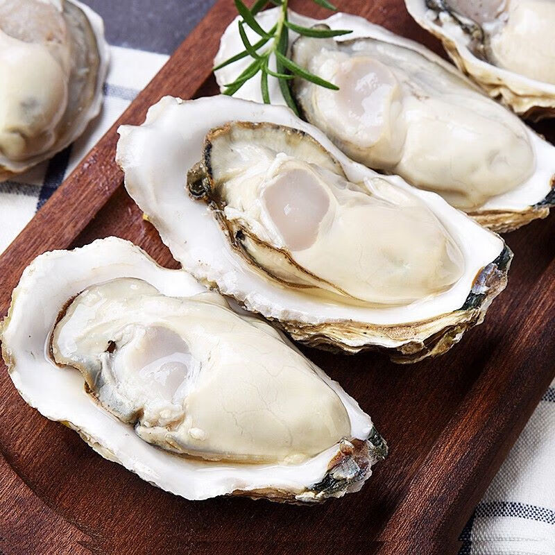 莫小仙现捕捞 乳山生蚝 XXXL鲜活 2.5斤 海鲜牡蛎 生鲜 带壳海蛎子 精选乳山生蚝 单个3-4两