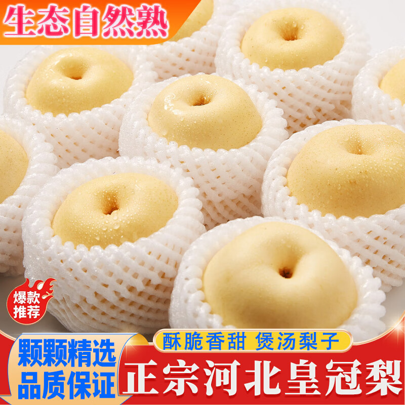 河北正宗皇冠梨新鮮梨子大果整箱現(xiàn)摘冰糖雪梨煲湯脆甜當(dāng)季水果 帶箱10斤皇冠梨【實惠裝】