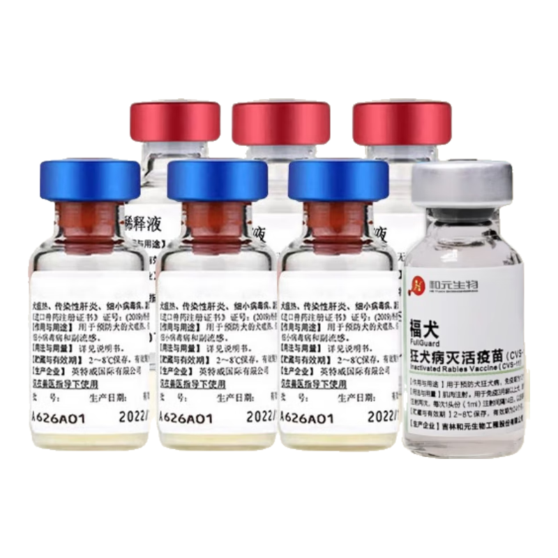 ӢȮԴСײ Ȯײ͡3+Ȯ1