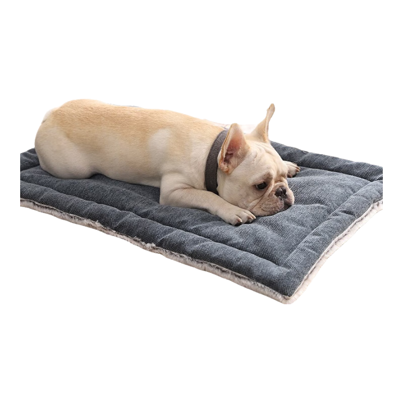 �����Ӻ񶬼���ů��������è������ҧ�ļ�ͨ�ó��ﹷ�ѵ�˯�������� �¿���ɫ M��:83*62CM 42.2Ԫ