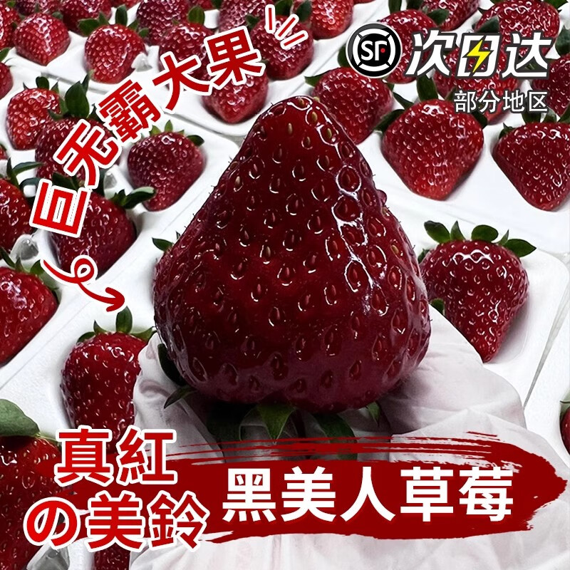 õ�ٰײ�ݮ��ʹ��ݮ˳������ձ�Ʒ�ֵ�ѩ��ݮ����ˮ��ʥ���������� ������ڲ�ݮ(9-15�����/��X2)500g