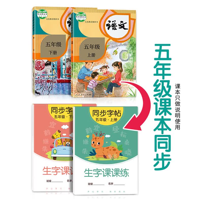 金枝叶五年级字帖上下册临摹练字帖小学生专用同步练字本语文人教版硬笔书法儿童楷书练习 五年级上册（共46页）