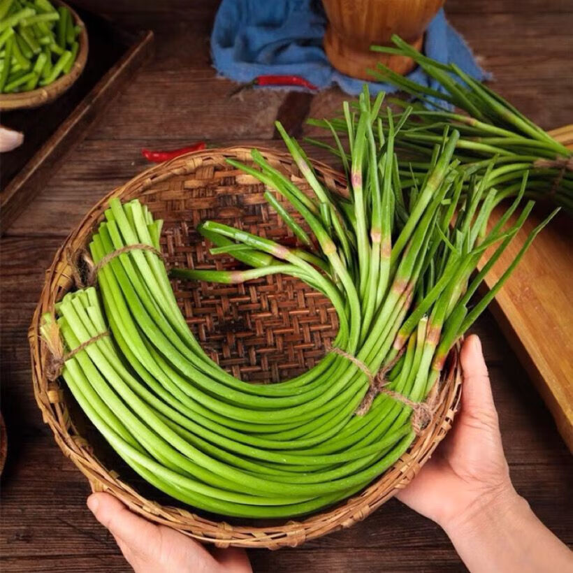 �ٽ��ۣ����ʳ���̦ 1000g