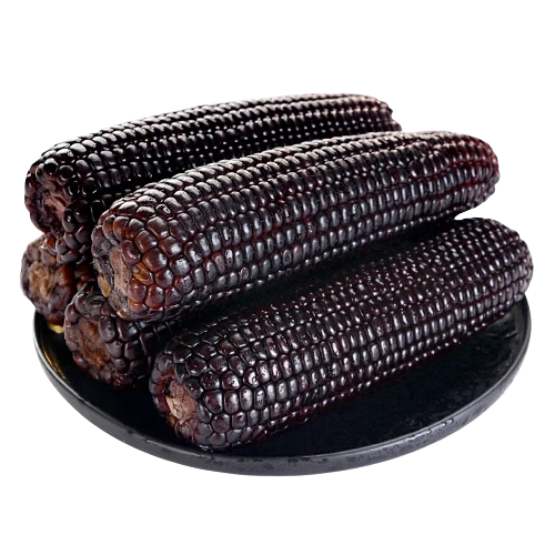 山东黑玉米 生玉米棒 甜粘糯粗粮杂粮代餐低脂代餐真空锁鲜速食 8根装180-200g 源头直采包邮