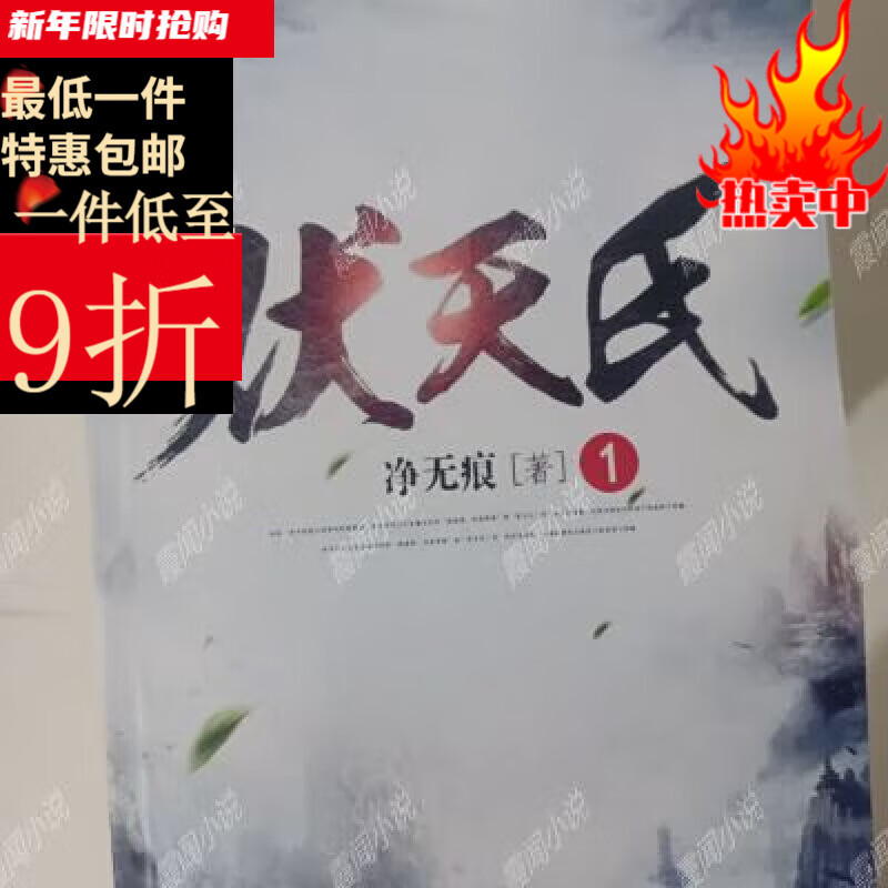 净无痕小说排名