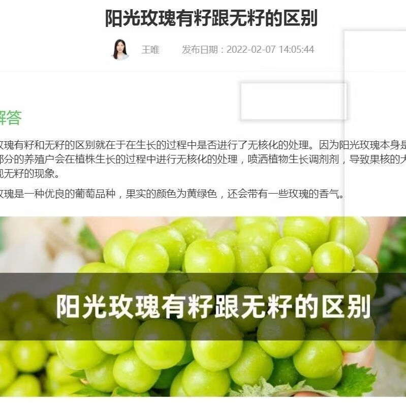 鹏翔宇【顺丰包邮】正宗阳光玫瑰葡萄薄皮香印脆甜无籽青提应季生鲜水果 净重3斤【8-10克】精选中果