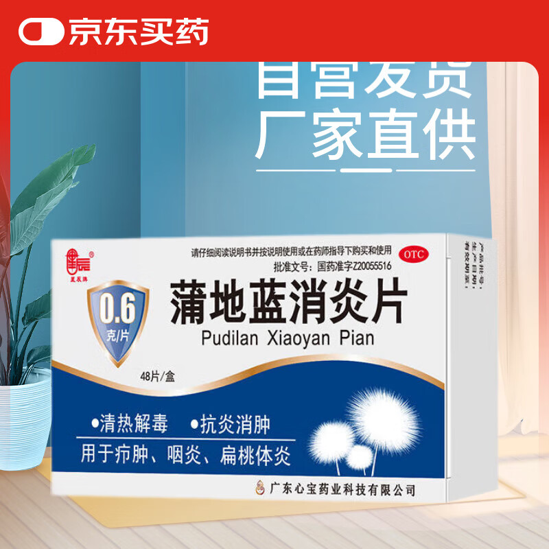 ǳ ѵƬ 0.6g*48Ƭ ҩ Ƚⶾ  ססʵ9.12Ԫ