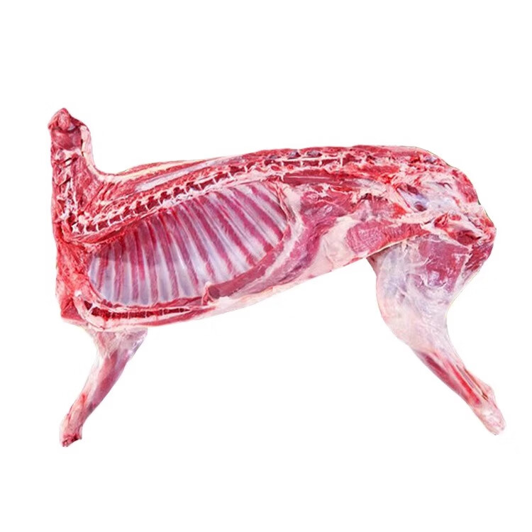 新疆盐碱地羊羔肉牧民散养羊肉鲜嫩无膻现杀整羊半羊羊腿羊排新鲜 整只羊14-16kg