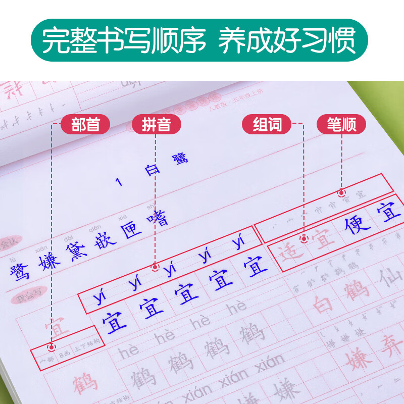 金枝叶五年级字帖上下册临摹练字帖小学生专用同步练字本语文人教版硬笔书法儿童楷书练习 五年级上册（共46页）