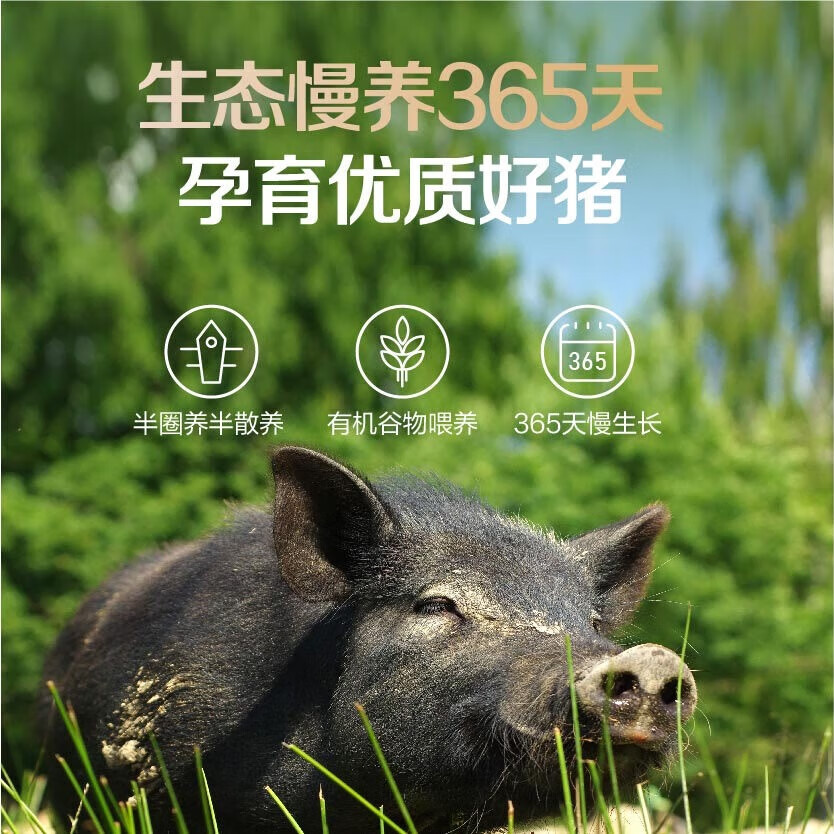 1号会员店有机黑猪肉礼盒 净重3.2kg 排骨肋排五花梅花猪肉馅年货礼盒
