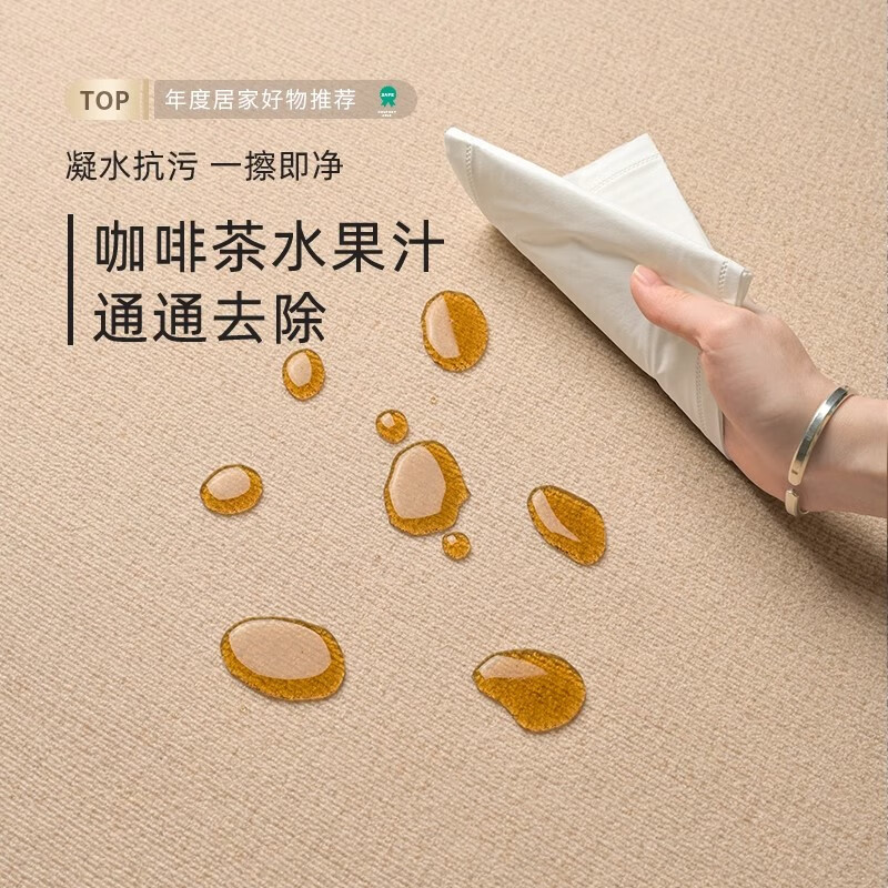 兴连心地毯客厅卧室2026新款中古风床边房间免洗可擦免打理复古沙发地垫 圈绒-塔赫-透气款 200×300Cm