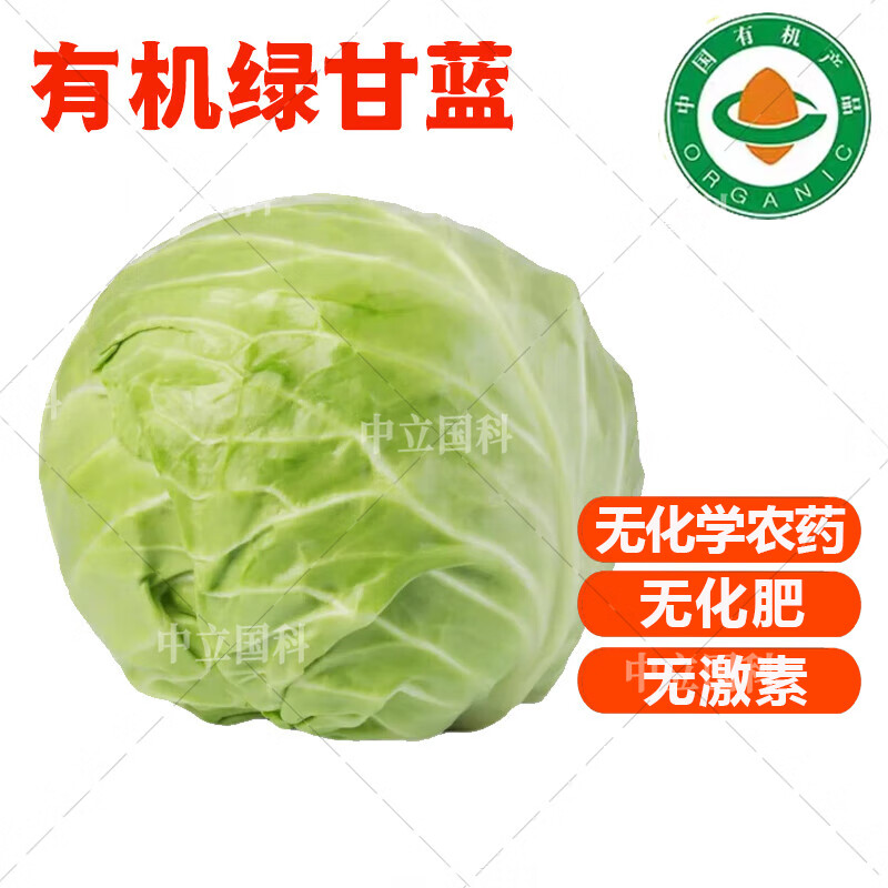 【順豐】有機(jī)綠甘藍(lán) 圓白菜新大頭菜卷心菜 無(wú)農(nóng)殘有機(jī)蔬菜 2500g