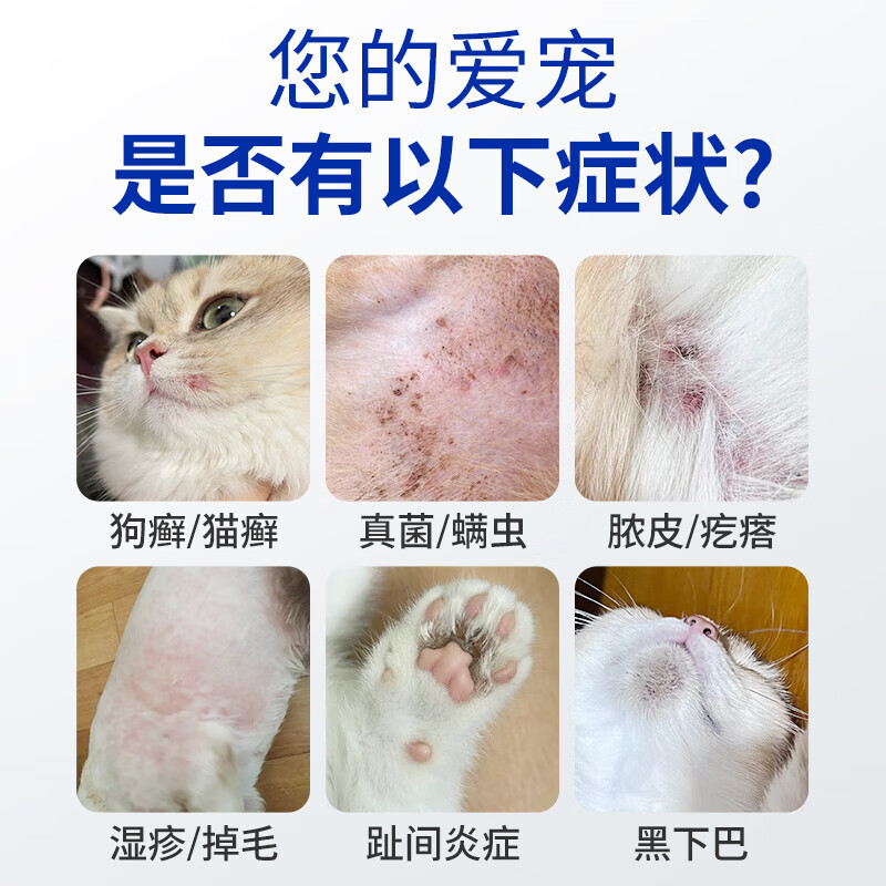 咪凹医生猫咪狗狗宠物皮肤病猫藓猫癣药喷剂外用宠物真菌狗藓螨虫瘙痒湿疹 【抑菌除螨】皮肤喷剂1瓶