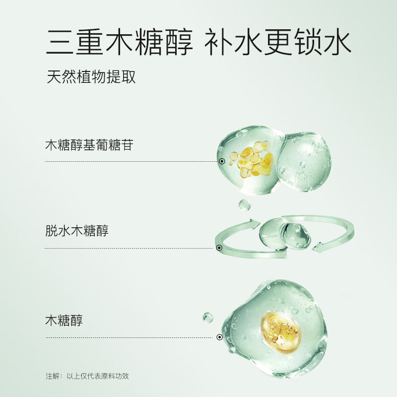 奢思雅（SHESYEA） 绿茶莹肌冰露50g 女士补水保湿熬夜睡眠面霜