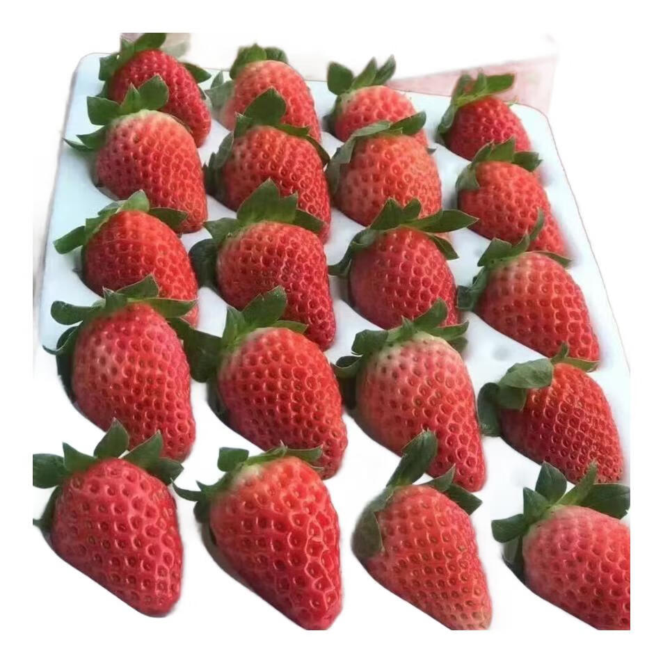 MPPMCK����ɽ ����99��ݮ ���Ͳ�ݮ 4��װ����3�� ����99��ݮ4 4��װ����3�ﵥ��25-45g 68Ԫ