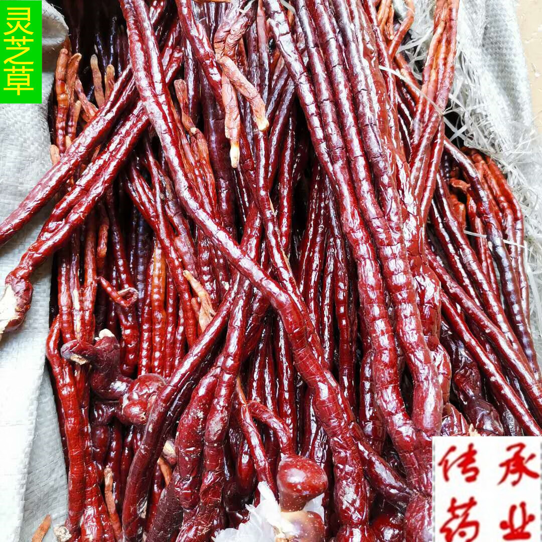 尔娅贝中药材 长白山特产 野生整枝灵芝草500g克包邮 又名鹿角灵芝